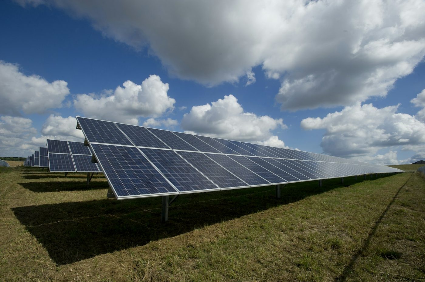 Paneles solares en campo bajo cielo azul
